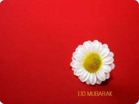Eid Special (8)